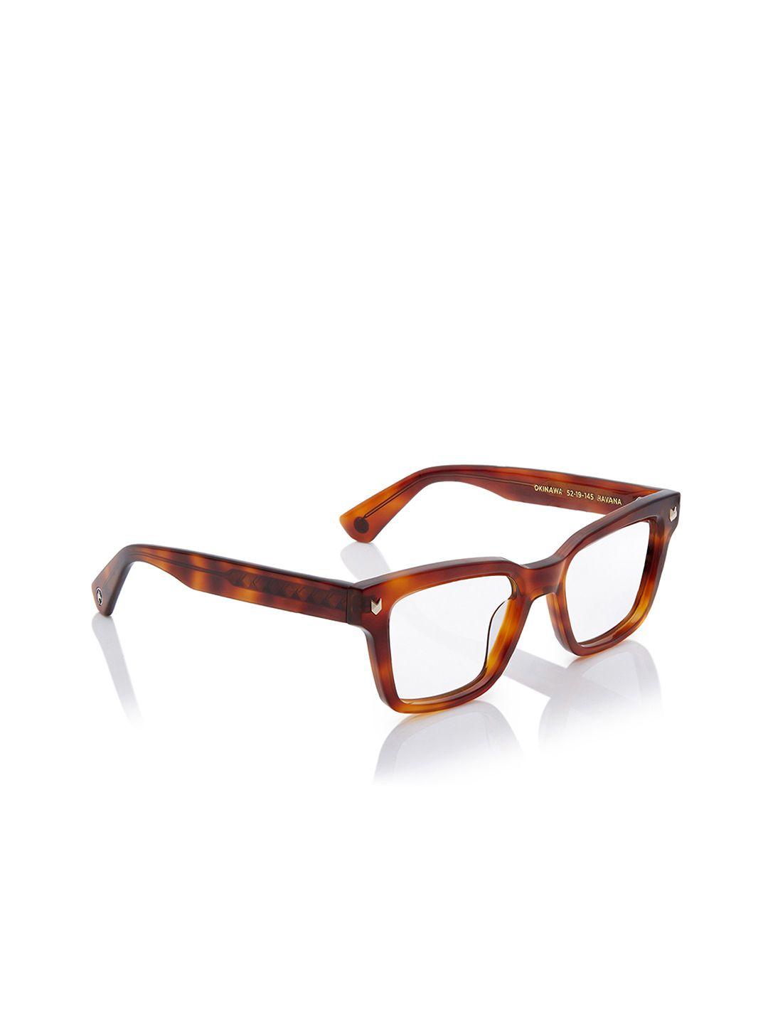 shisen fox okinawa havana unisex square frames fr069