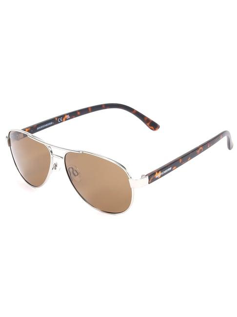 skechers brown aviator sunglasses for men