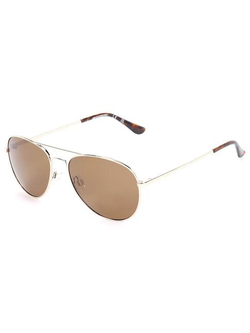 skechers brown aviator uv protection sunglasses for men