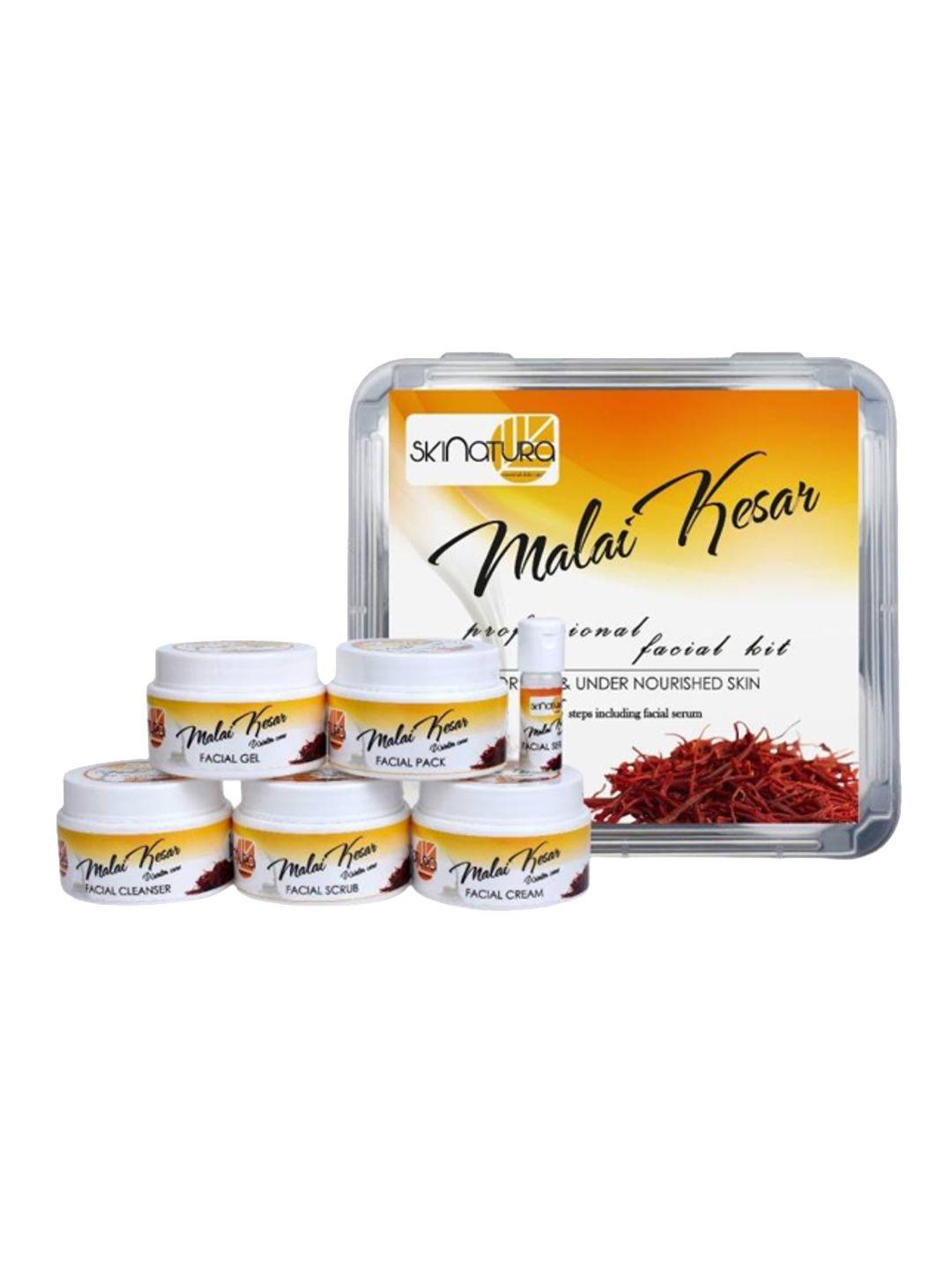 skinatura adults malai kesar professional facial kit 310 gm