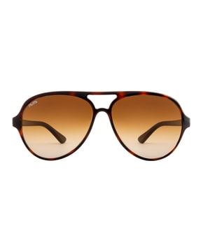 solid aviator sunglasses