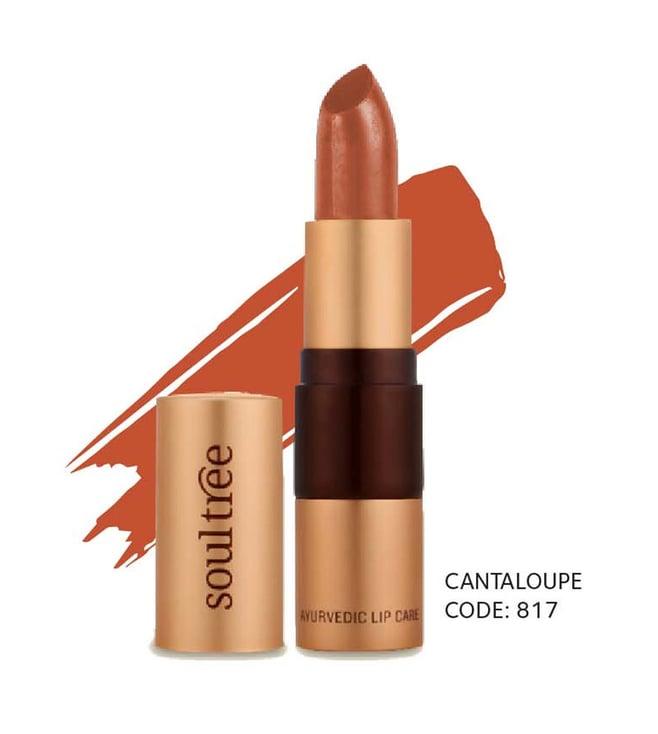 soultree lipstick cantaloupe 817 - 4 gm