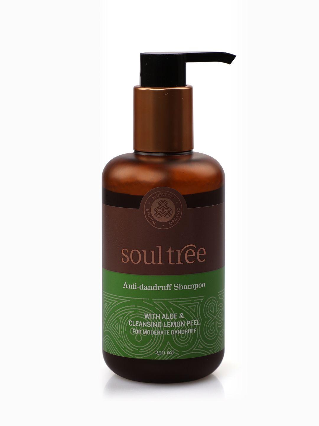 soultree anti-dandruff shampoo with aloe & cleansing lemon peel - 250ml