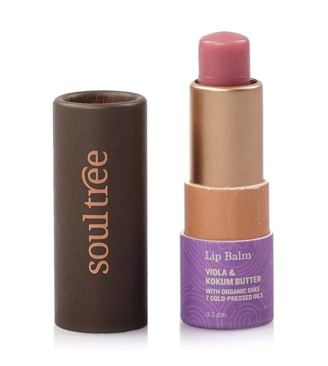 soultree viola & kokum butter lip balm - 3.5 gm