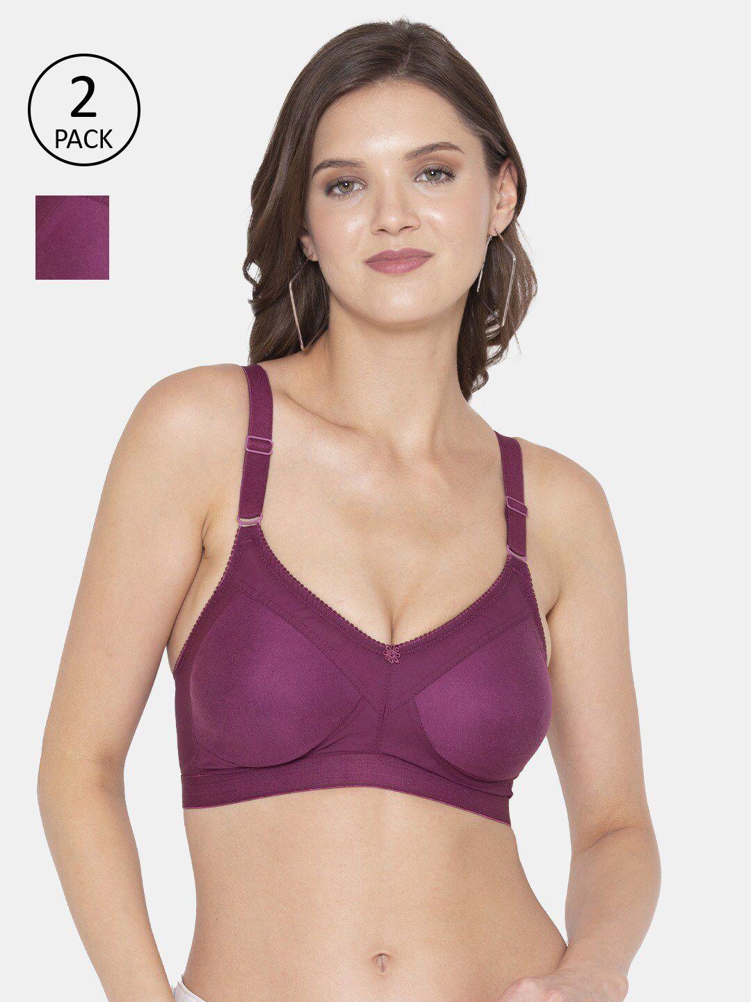 souminie burgundy set of 2 solid non padded minimizer cotton bra