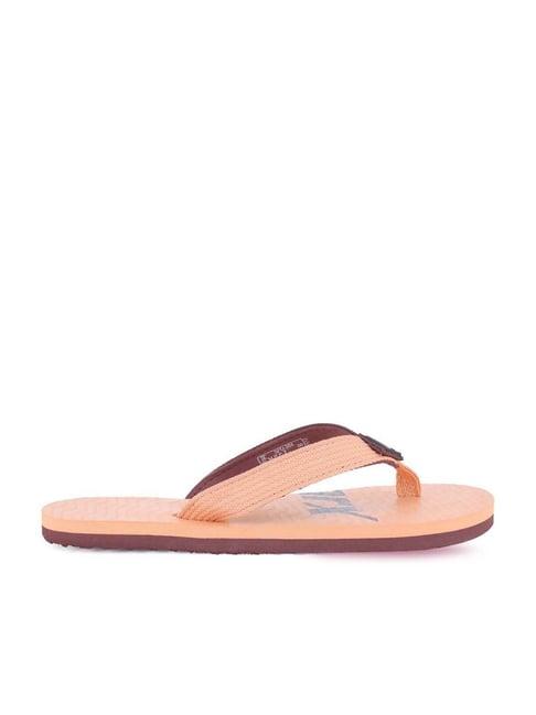 sparx men's brown flip flops