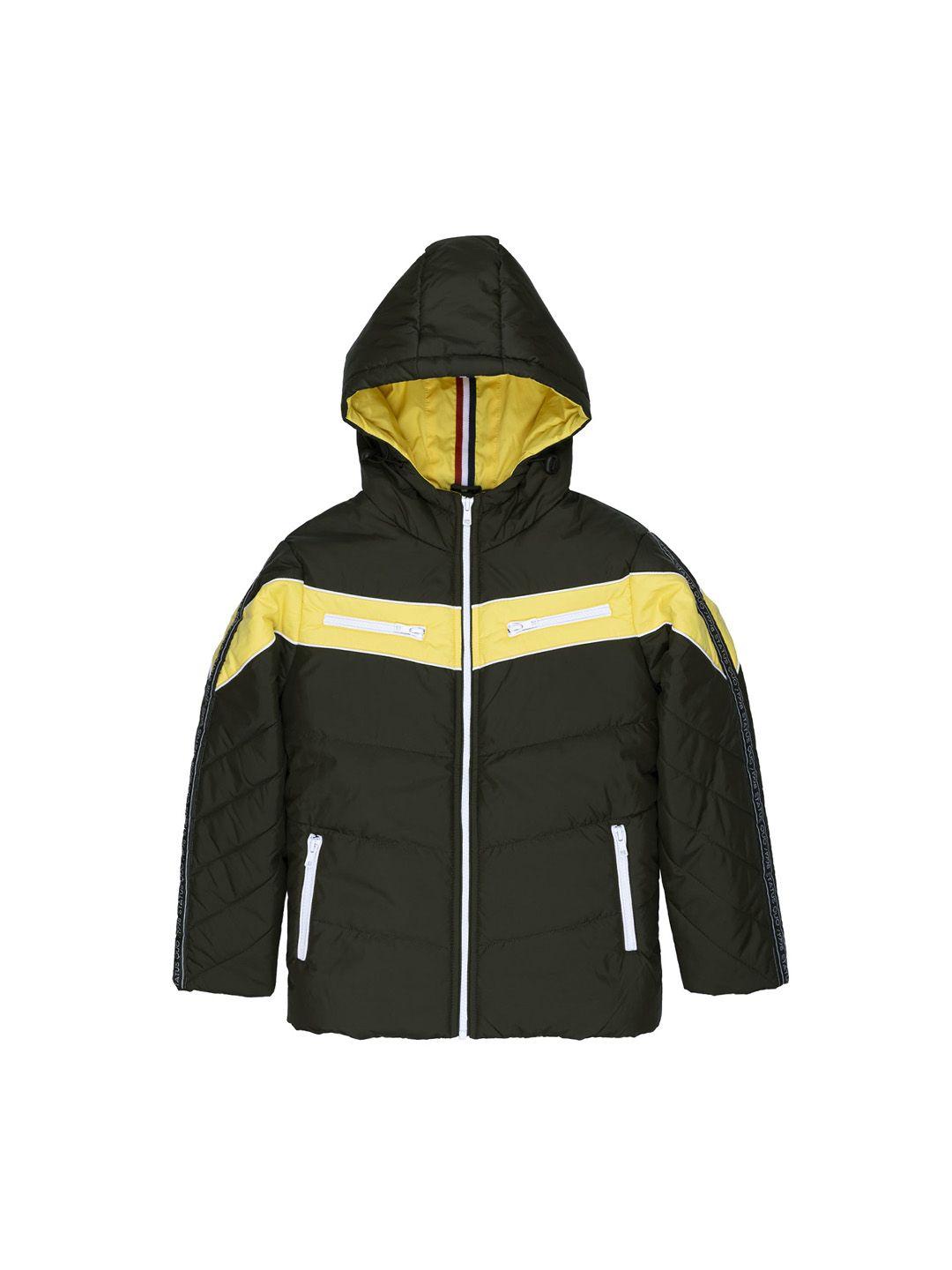 status quo boys olive green yellow colourblocked padded jacket