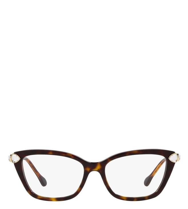 swarovski 0sk2011100253 havana science of elegance cat eye frames for women