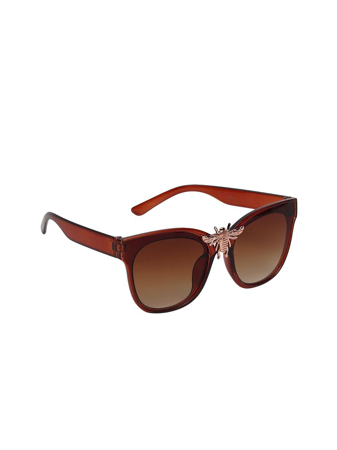 swiss design unisex brown lens & brown wayfarer sunglasses with uv protected lens