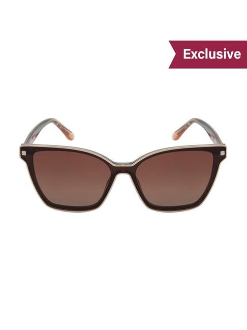 ted smith brown cat eye polarized sunglasses for women