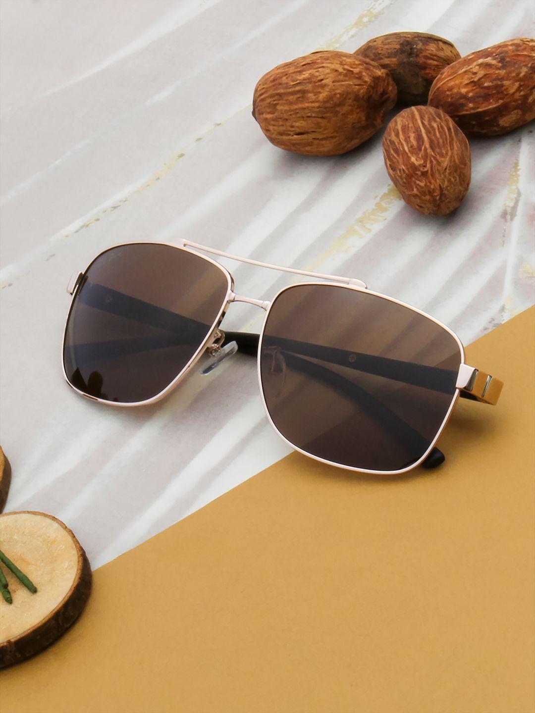 ted smith unisex brown lens & gold-toned aviator sunglasses with polarised and uv protected lens