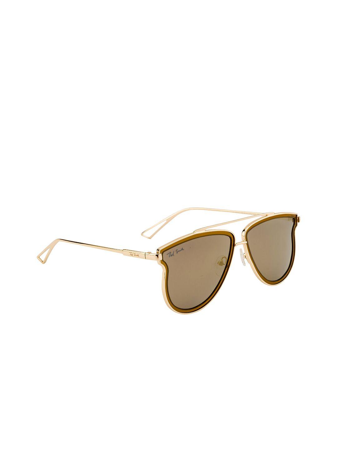 ted smith unisex brown lens & gold-toned polarised other sunglasses ts-jp0890_c6-gold