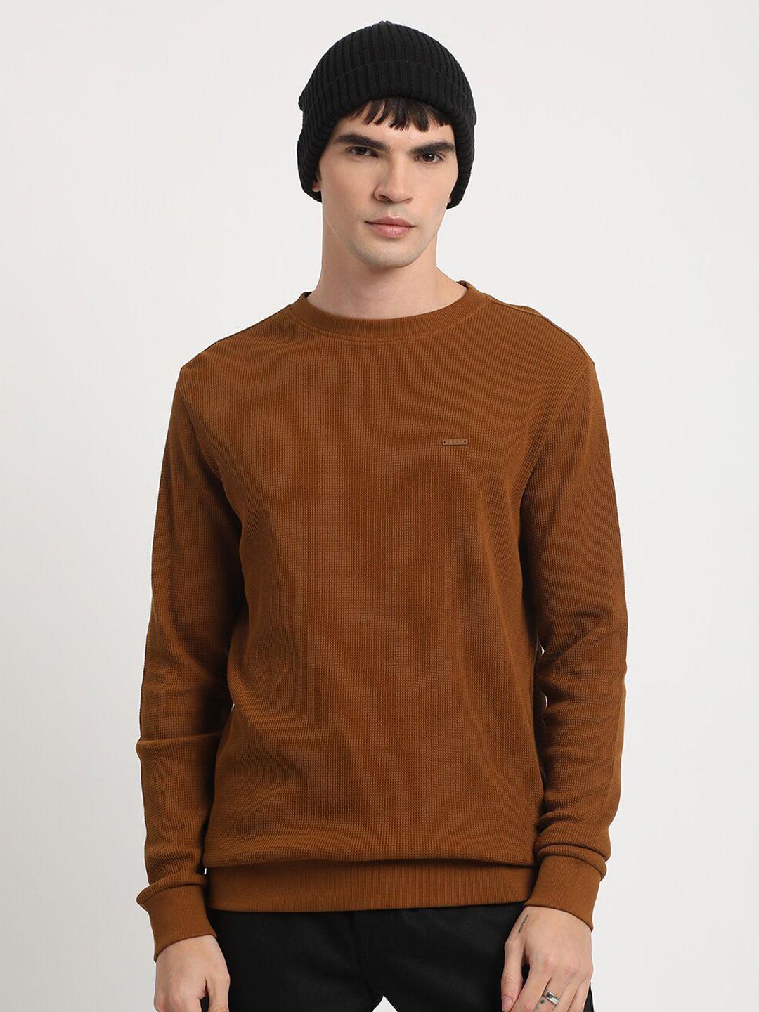 the bear house terry pure cotton pullover