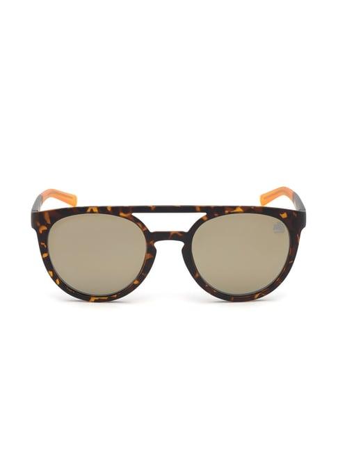 timberland brown oval sunglasses for men