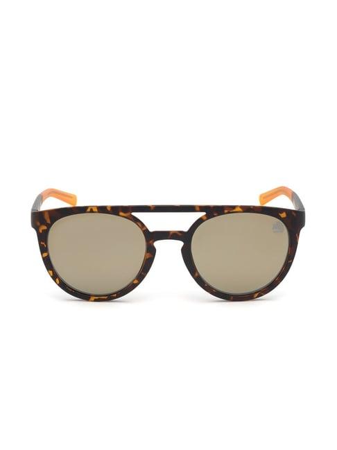 timberland brown oval sunglasses for men