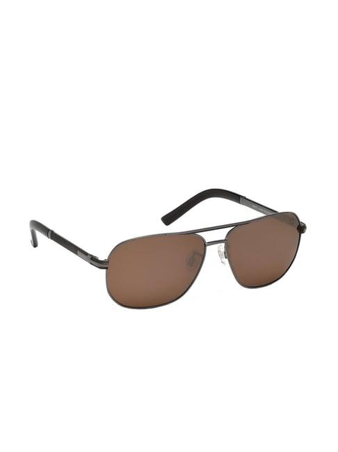 timberland brown pilot sunglasses for men