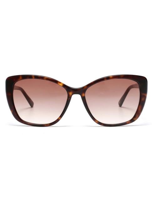 tommy hilfiger brown cat eye sunglasses for women