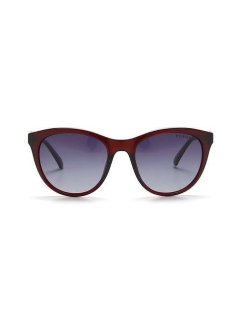 tommy hilfiger grey cat eye sunglasses for women