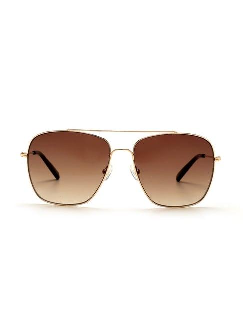 tommy hilfiger th2581 brown gradient square sunglasses