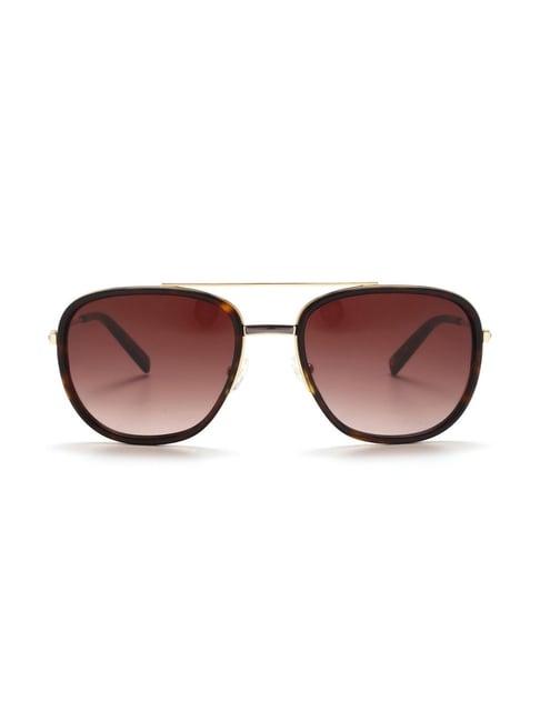 tommy hilfiger th2589 brown gradient aviator