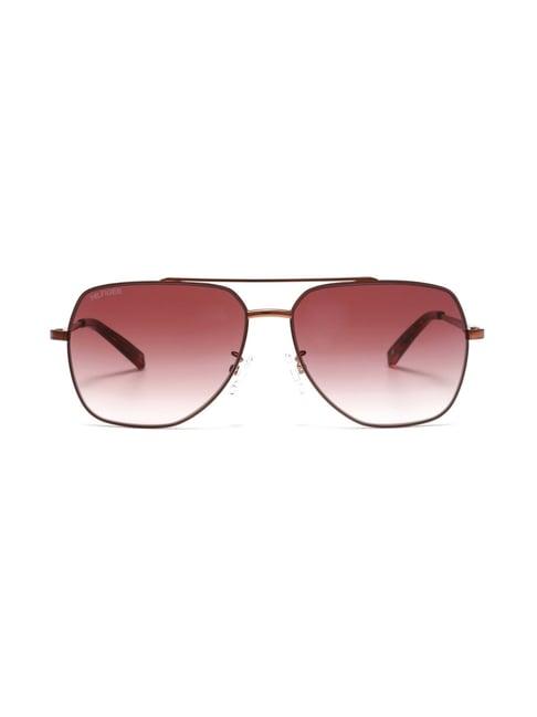tommy hilfiger thjason cocoa brown gradient aviator