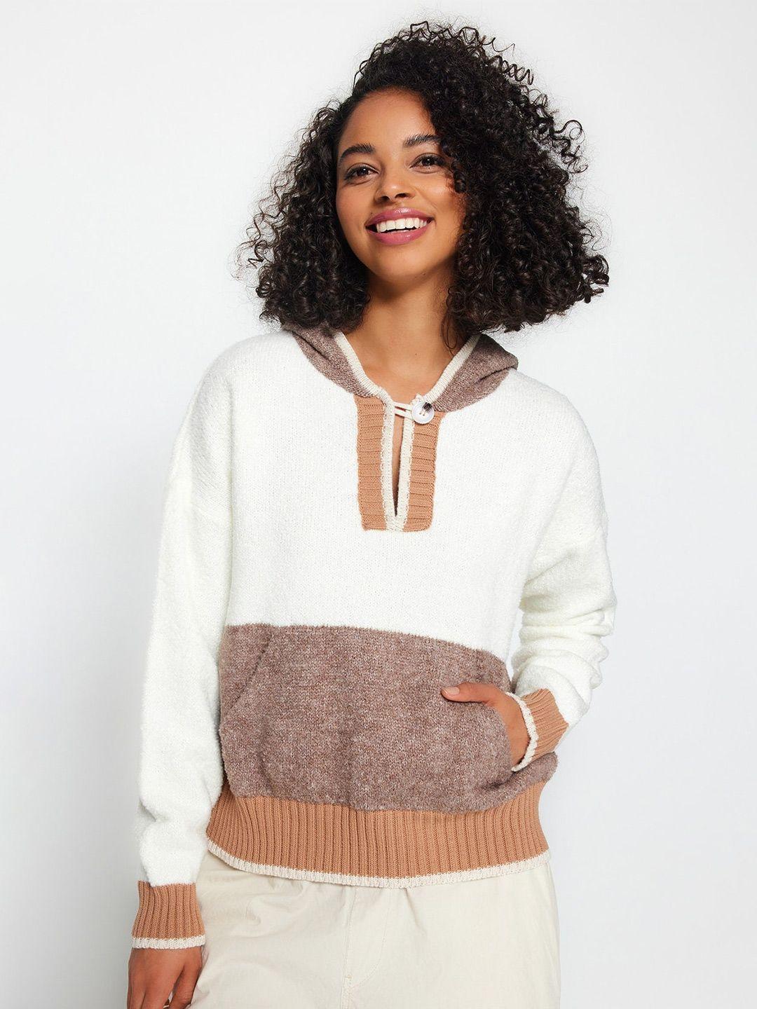 trendyol colourblocked hooded pullover