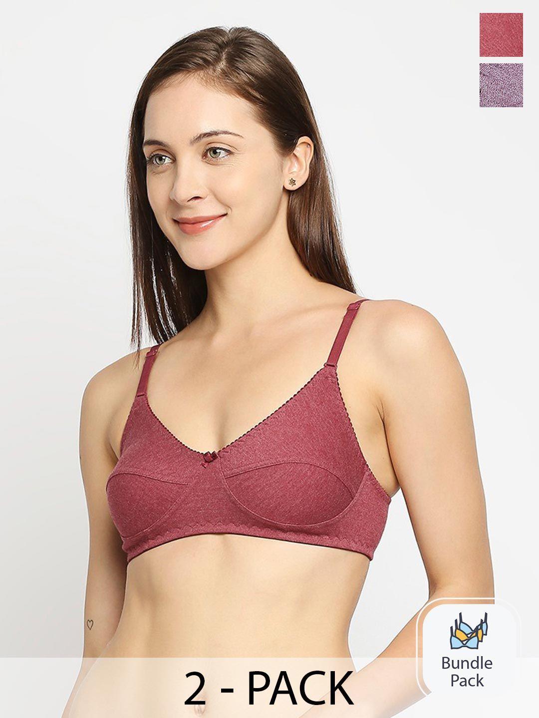 true shape pack of 2 purple & burgundy bra full coverage