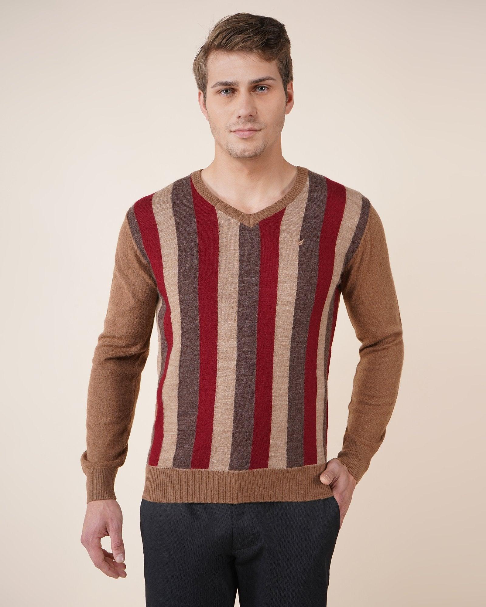 v-neck brown textured sweater - erecta