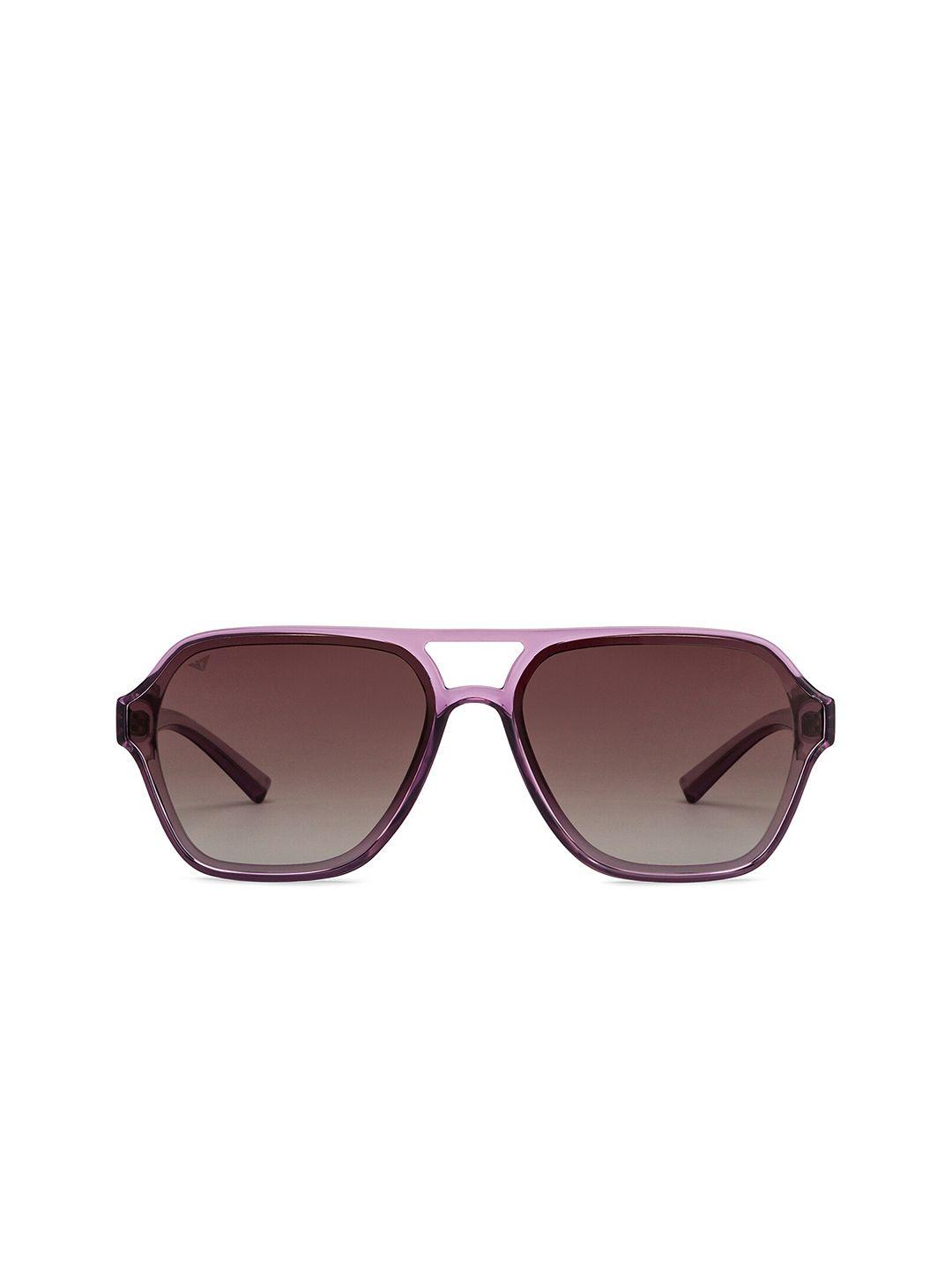 vincent chase brown lens & purple square sunglasses with polarised and uv protected lens