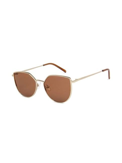 vincent chase by lenskart vc s11470 brown polarized cat eye sunglasses