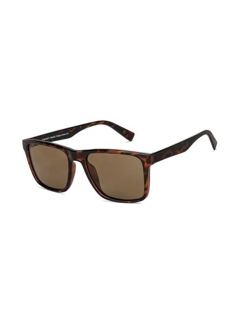 vincent chase by lenskart vc s13973 brown polarized square sunglasses