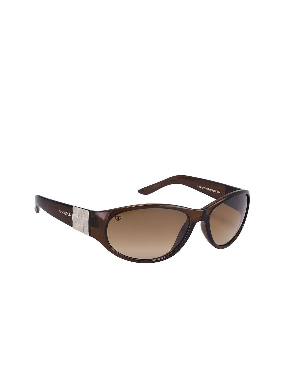 walrus men brown lens & brown oversized sunglasses wsgw-vct-iii-090909-brown