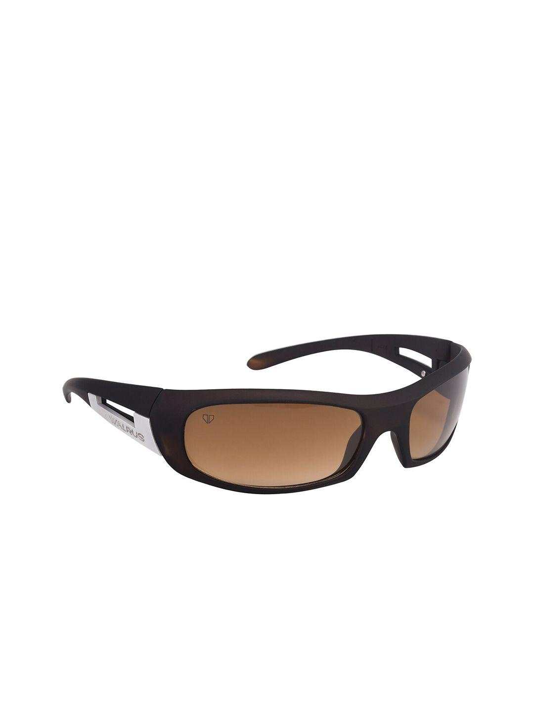 walrus men brown lens & brown sports sunglasses with uv protected lens wsgm-bdn-090909