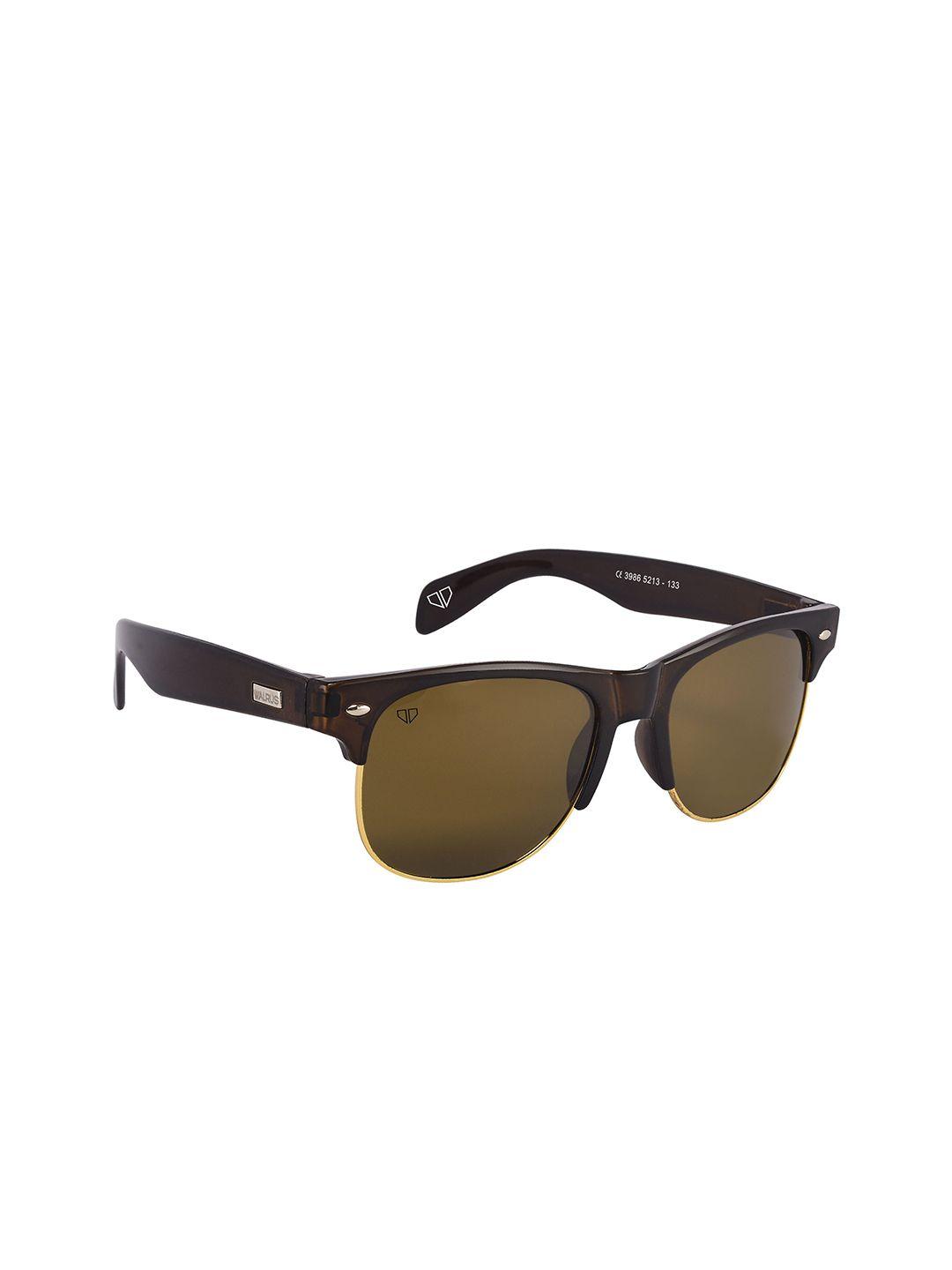 walrus men brown lens & brown square sunglasses with uv protected lens