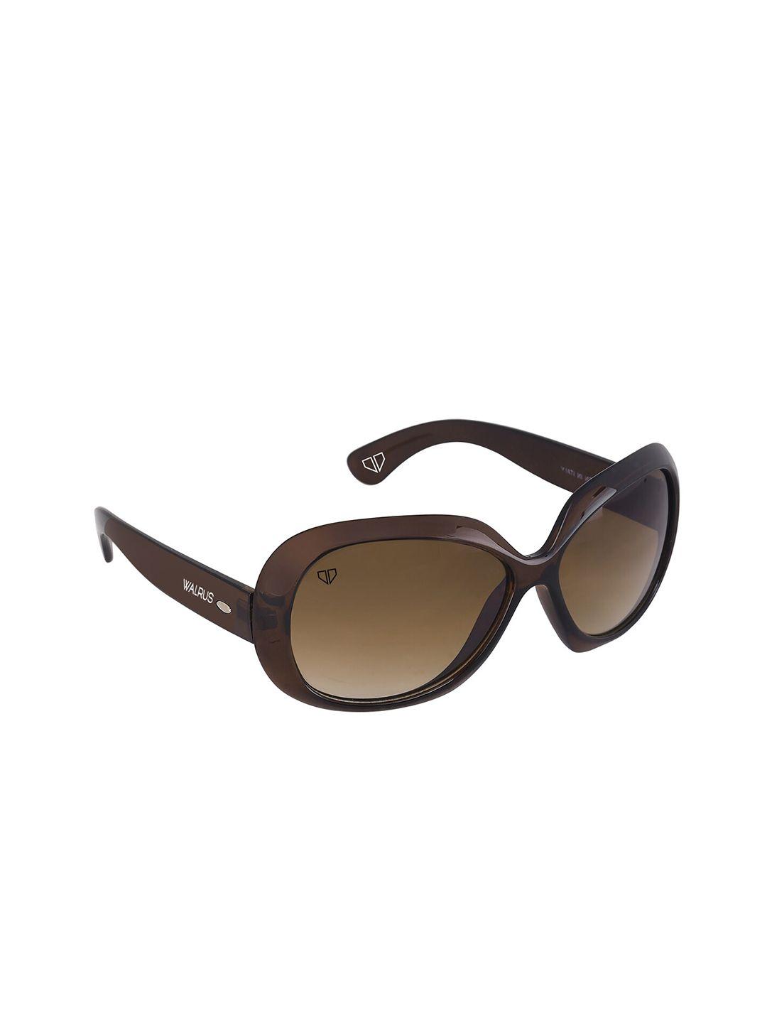 walrus men brown lens & brown wayfarer sunglasses wsgw-gaga-090909