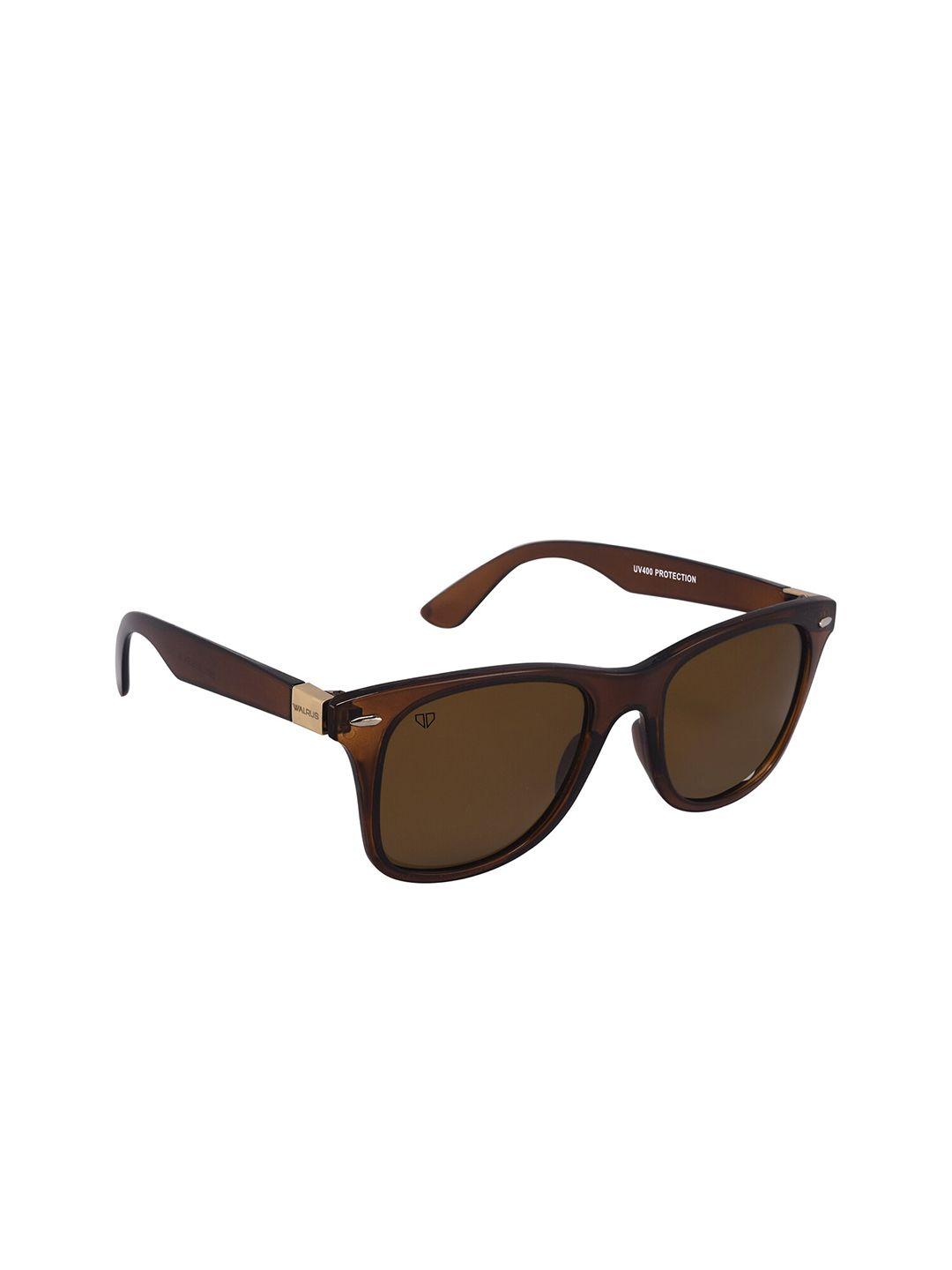 walrus men brown lens wayfarer sunglasses with uv protected lens - wsgm-isc-ii-090909