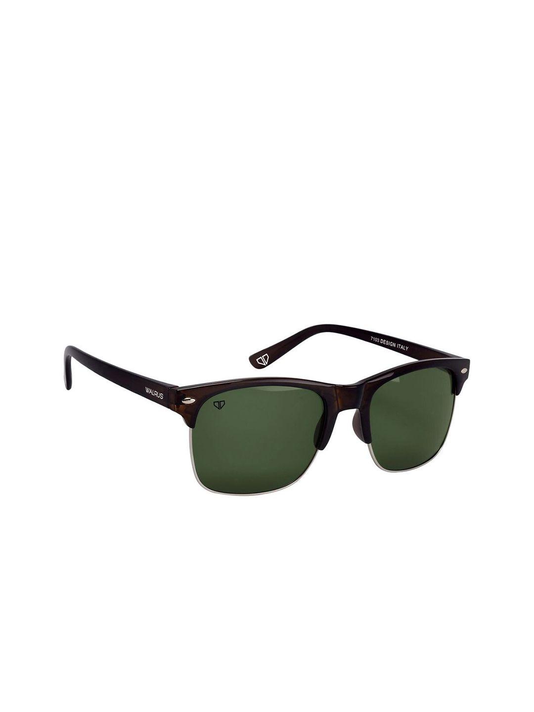 walrus men green lens & brown wayfarer sunglasses wsgm-levi-040709