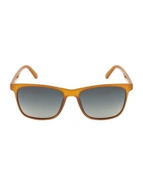 wayfarers sunglasses