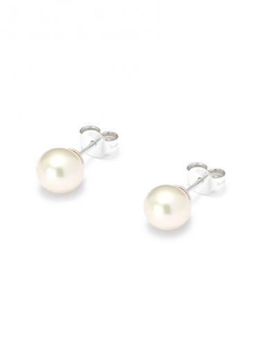 white freshwater pearl stud earrings