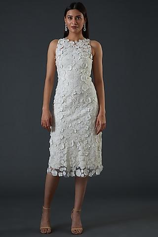 white net embroidered dress