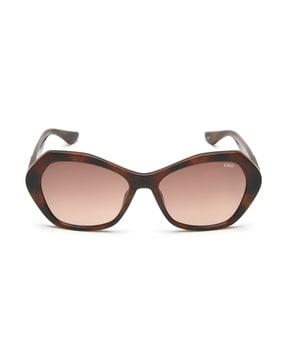 women cat-eye sunglasses ids2811c2sg