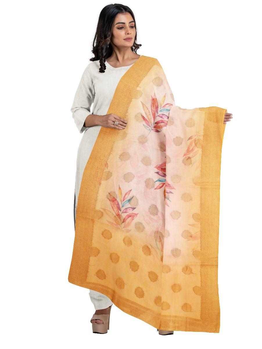 women fancy shawl -pac2026039