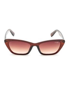 women uv-protected cat-eye sunglasses-irs1210c2sg