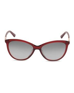 women uv-protected gradient cat-eye sunglasses ck19576i60555s