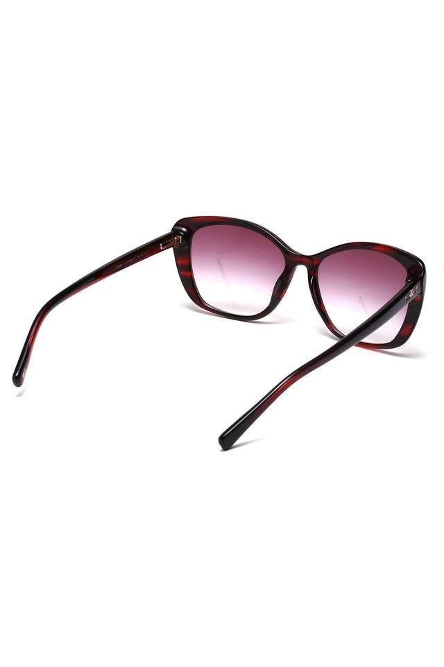 womens full rim non-polarized cat eye sunglasses