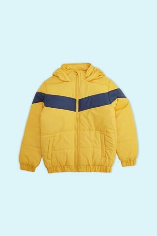 yellow cut & sew casual full sleeves regular hood boys regular fit jacket