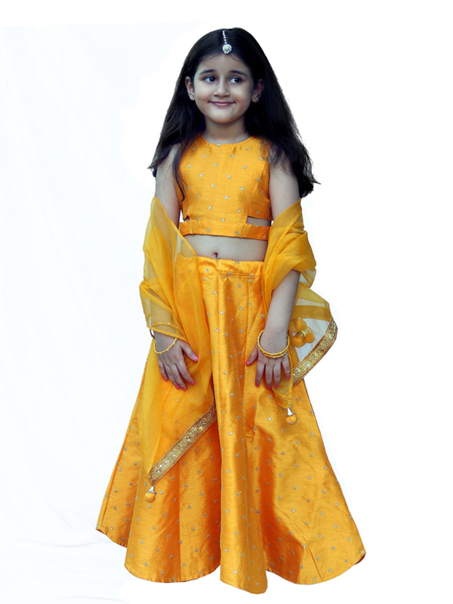 yellow detailing lehenga and choli with dupatta (set of 3)