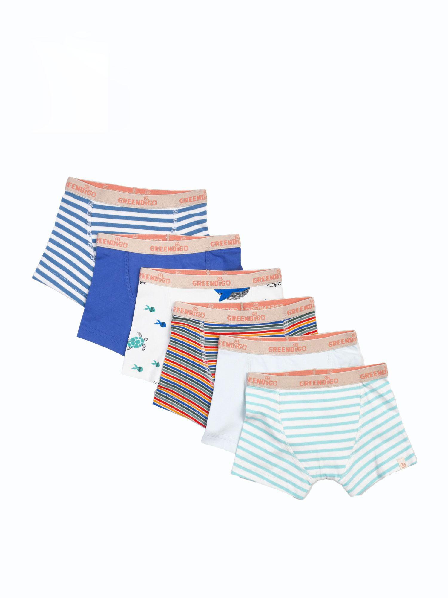 organic-cotton-boys-printed-briefs-(pack-of-6)