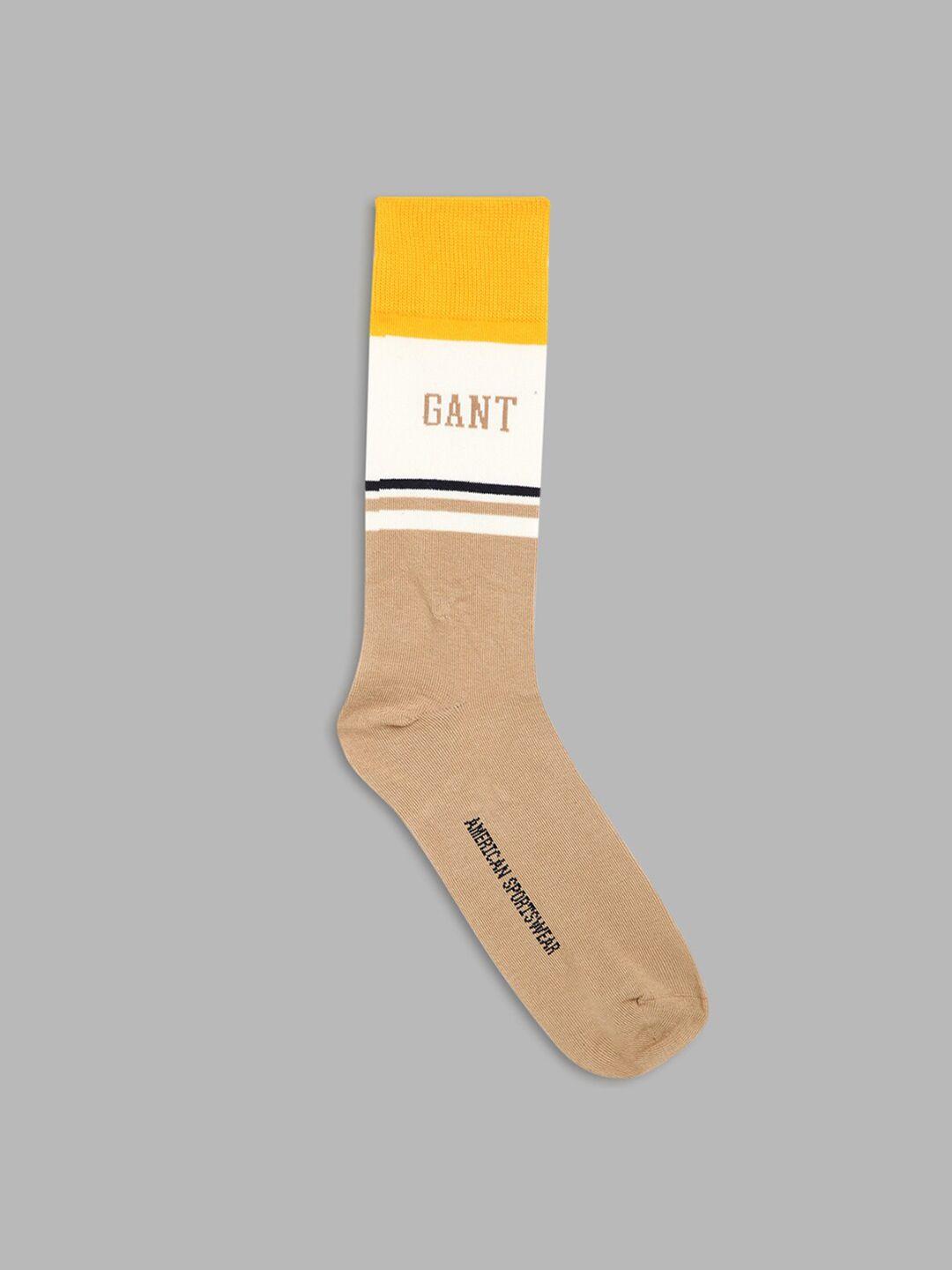 gant-men-beige-colourblocked-above-ankle-length-socks