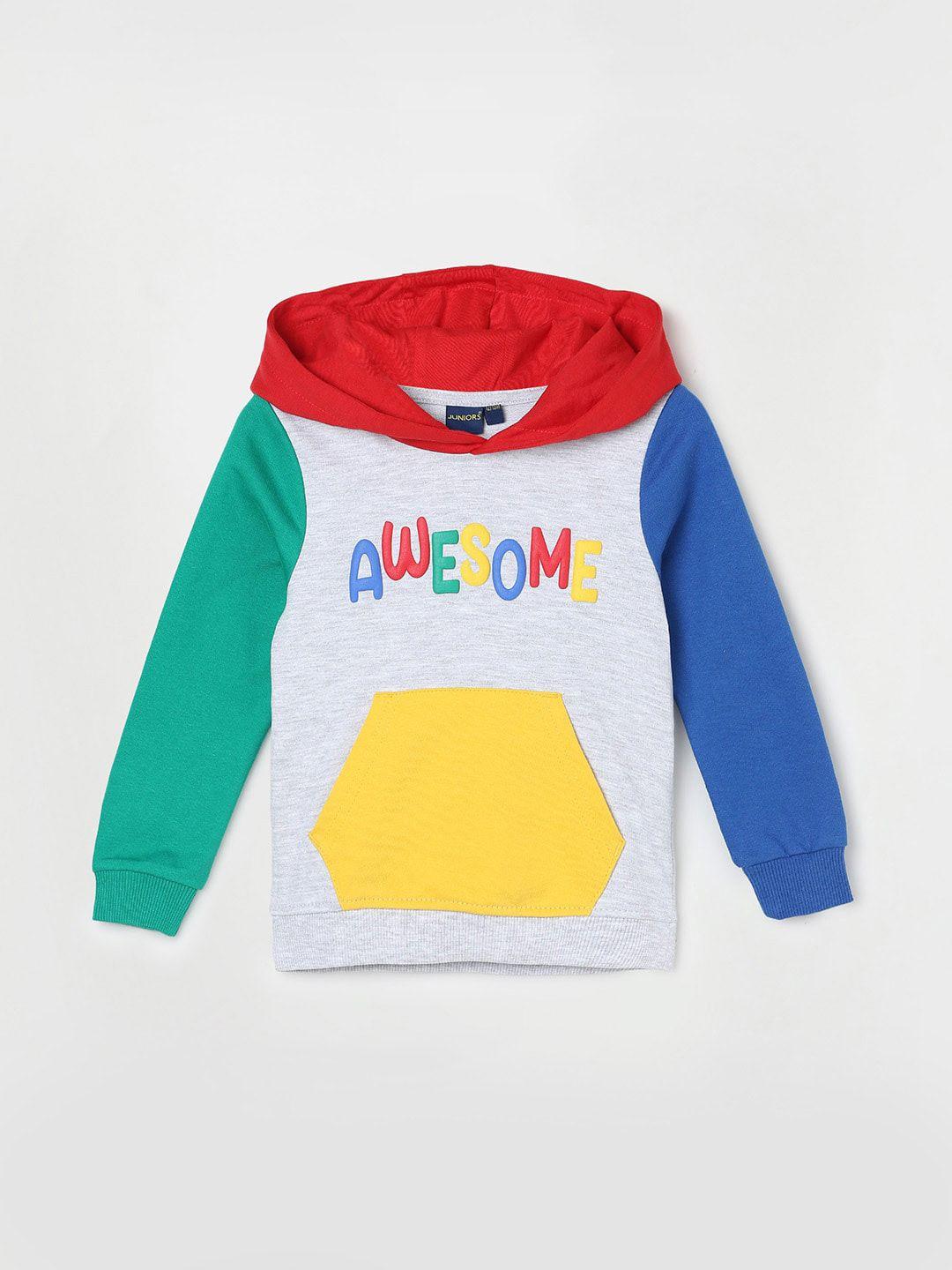 juniors-by-lifestyle-boys-colourblocked-hooded-cotton-pullover